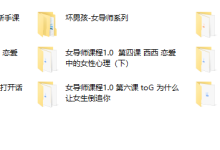 坏男孩女导师课程合集-恋爱虎