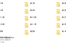 100天男哥展示面2.0-恋爱虎