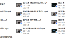瑞恩《竞速聊Xplus》-恋爱虎