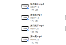悦爱团队《速食爱情》-恋爱虎