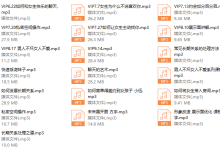 2018年Feeling情感学院《高级VIP网络课程》-恋爱虎