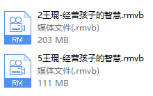 王琨-经营孩子的智慧-恋爱虎