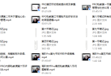 高阶技术pro-恋爱虎