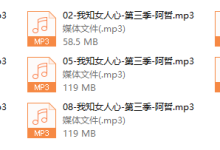 阿哲3.0更新-恋爱虎