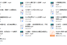 老吴个人品牌打造-恋爱虎