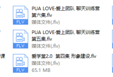PUA LOVE·爱上团队 聊天训练营-恋爱虎