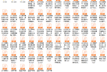 【魅力工程】2017年安小妖-恋爱虎