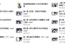 梵公子富饶《时代最前沿装逼课》-恋爱虎