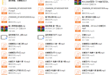 蓝色答案《恋爱解码2.0》-恋爱虎