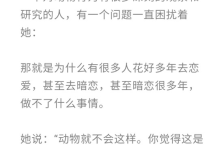 什么是恋爱脑-恋爱虎