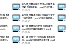 2017年痴情叔《聊天恋爱教程》-恋爱虎