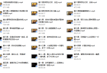 强大心态训练技术2.0-终极课8w-恋爱虎