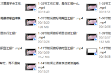 【有说服力的工作汇报】 14集-恋爱虎