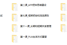 路易团队承情2015年网络课-恋爱虎