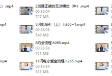 灵魂创造者《闪电恋爱术》-恋爱虎