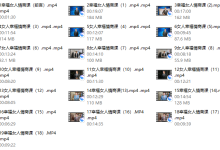 隔壁王司机幸福女人情商课-恋爱虎