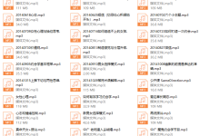 魔鬼咨询师vip课程4.0-恋爱虎