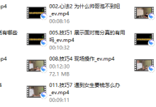 熊猫2024年新课3.0《高手法则》-恋爱虎