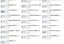 探花Gary-【依恋内核塑造长期依恋与强大内核依恋类型课回避型依恋破解】-49900圆-25节-恋爱虎