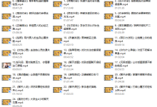 大鹏高端私教课-恋爱虎
