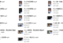 正向吸引高阶成长课-恋爱虎