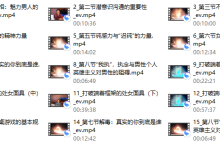 火种情感《情感原始人》-恋爱虎