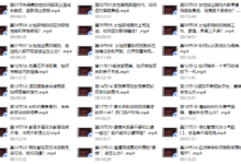 任亚《人间清醒后半生》-恋爱虎