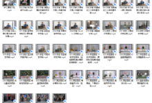 磊哥减脂塑形课程2.0-恋爱虎