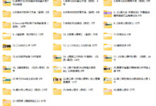 何丽娟合集-恋爱虎