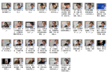 林老头《系统认知》-恋爱虎