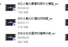 佳利《男性觉醒1.0》-恋爱虎