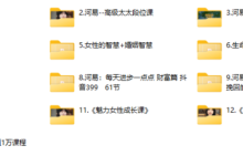 河易12套课程-恋爱虎