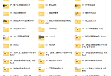 谢胜子38套课程合集-恋爱虎