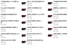本渡情感《好老婆全案》20节-恋爱虎
