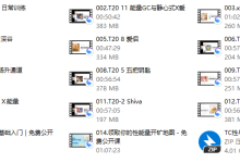 谭崔式性与爱 T20 14节全-恋爱虎