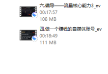 leon商业课程-恋爱虎