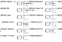 一只流氓兔《恋爱指导课1.0》-恋爱虎