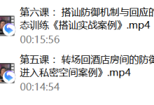 瑞恩良叔《实战的防御机制》-恋爱虎