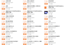 马飞飞学员课程-恋爱虎