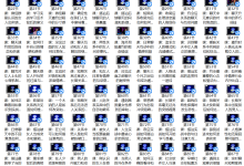 瑞恩会员课2.0（全网首发101集全）-恋爱虎